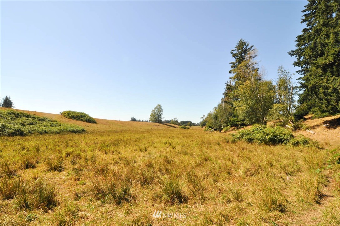 1100 East Hemmi Road Everson, WA 98247 - Photo 13 of 25