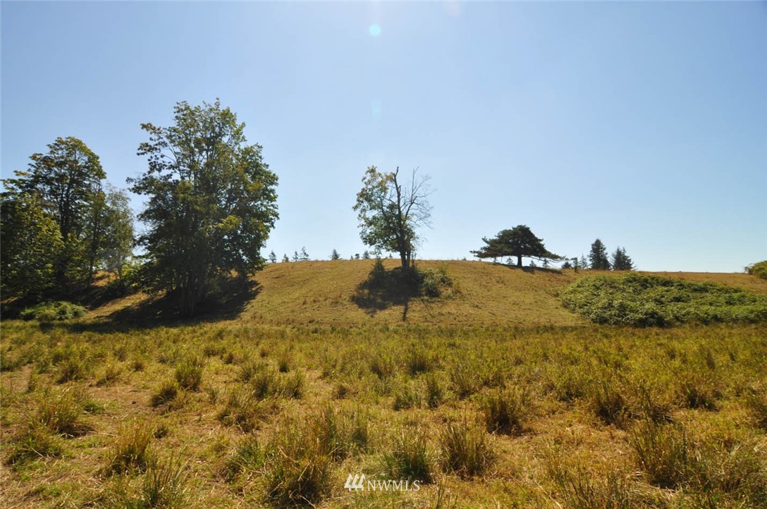 1100 East Hemmi Road Everson, WA 98247 - Photo 14 of 25