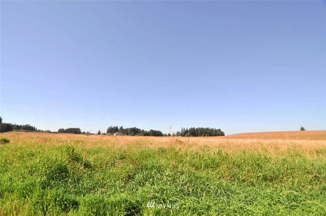 1100 East Hemmi Road Everson, WA 98247 - Photo 25 of 25