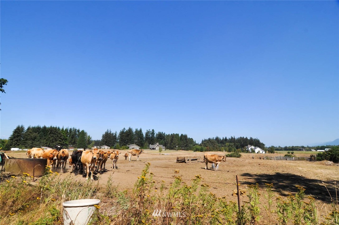 1100 East Hemmi Road Everson, WA 98247 - Photo 5 of 25