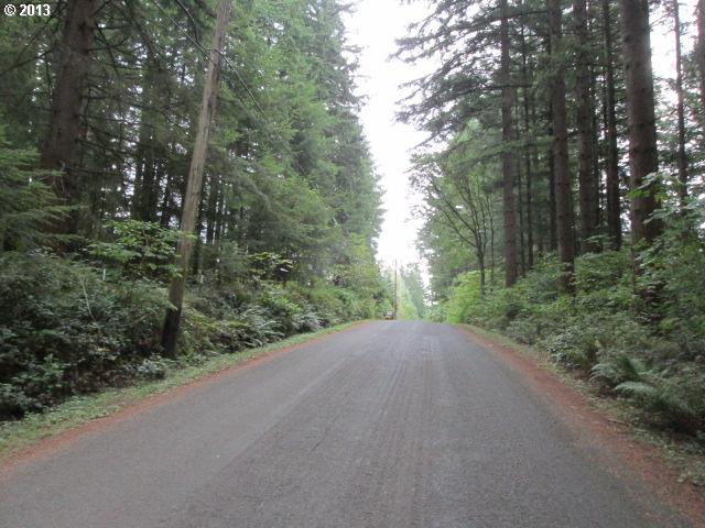 0 Northeast 44th Street Camas, WA 98607 - Photo 1 of 6 Gallery Image 1