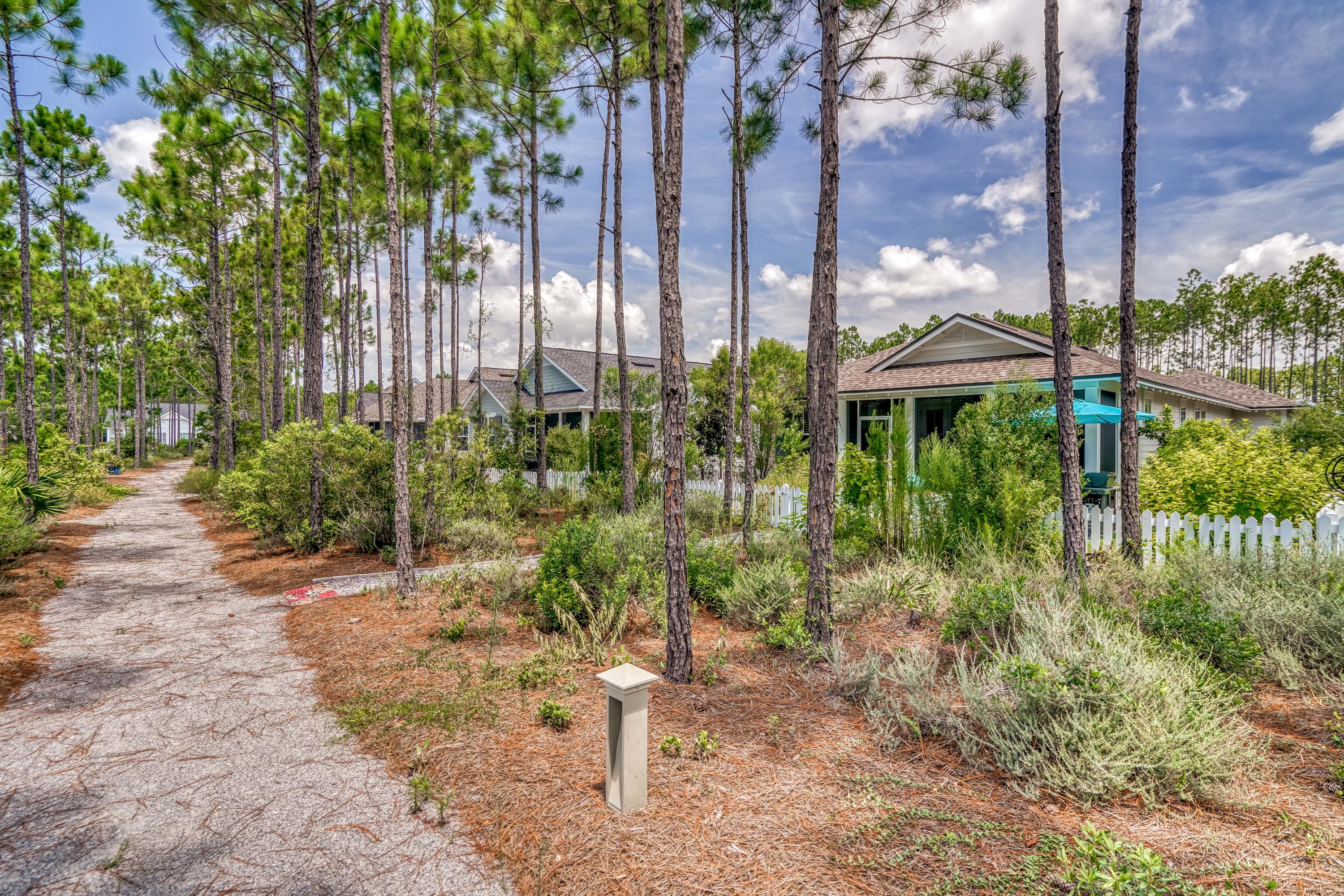 137 Jack Knife Drive Inlet Beach, FL 32461 - Photo 10 of 45 a backyard of a house with lots of green space