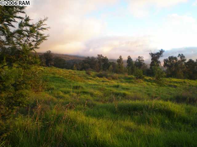 570 Hapapa Road Kula, HI 96790 - Photo 2 of 7 a view of an outdoor space and a yard