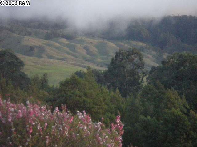 570 Hapapa Road Kula, HI 96790 - Photo 3 of 7