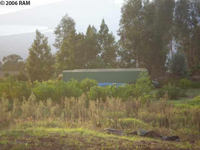 570 Hapapa Road Kula, HI 96790 - Photo 5 of 7 a view of a lake from a yard