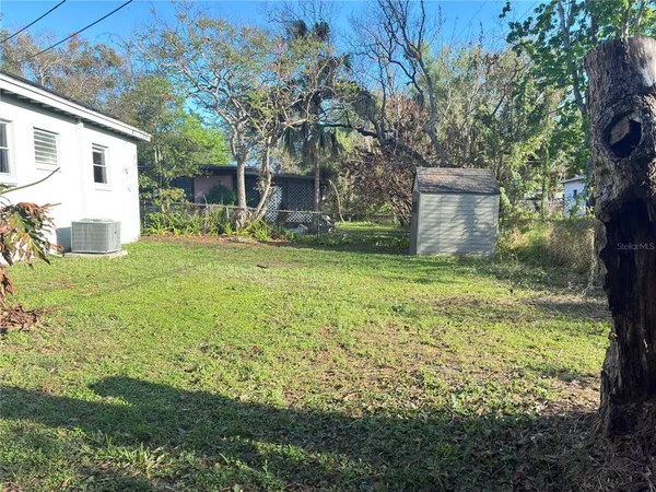 a view of a backyard with plants and large tree