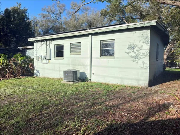 a view of a backyard with plants and large tree