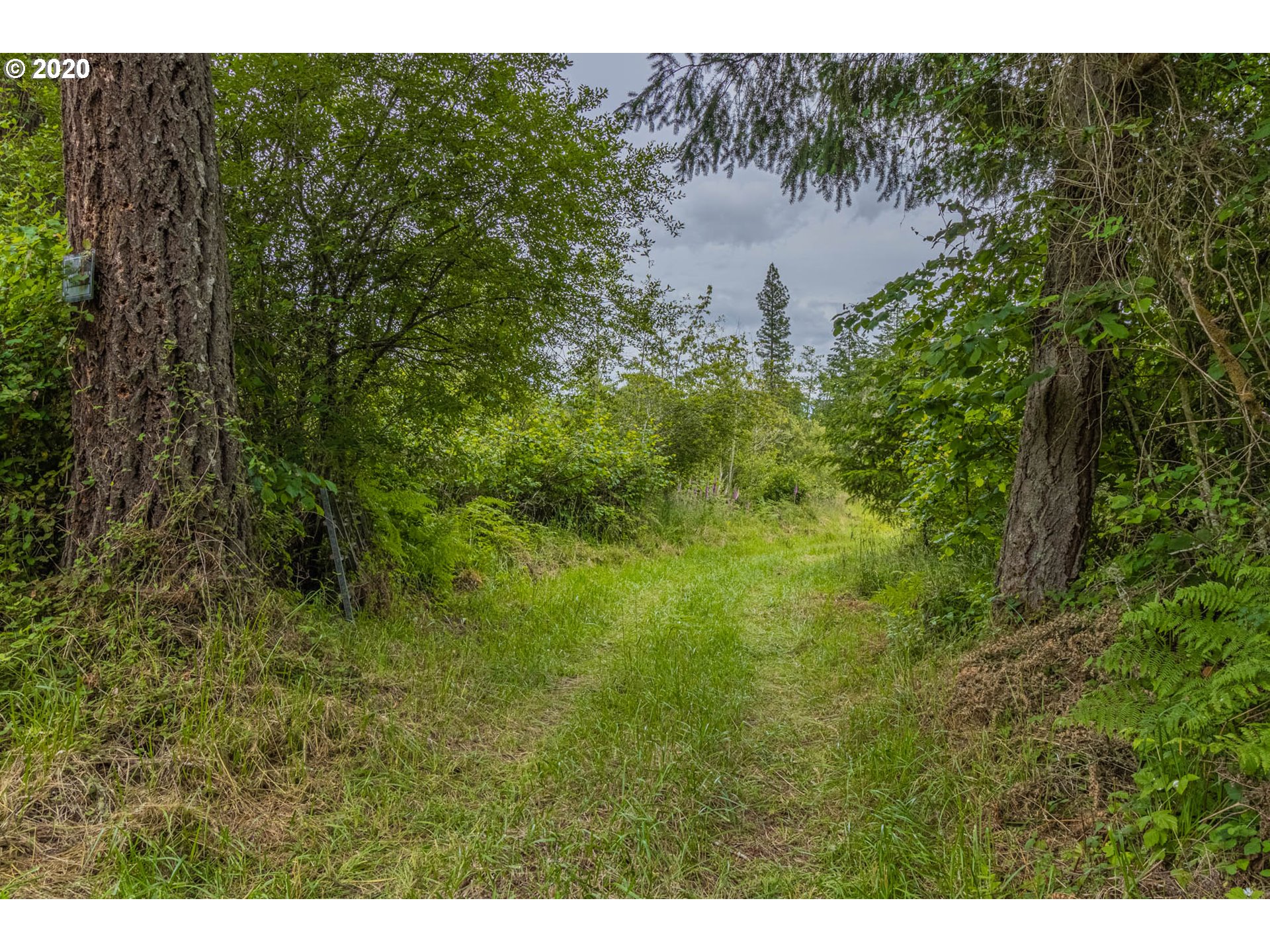 25172 Lamb Road Elmira, OR 97437 - Photo 23 of 32 Gallery Image 23
