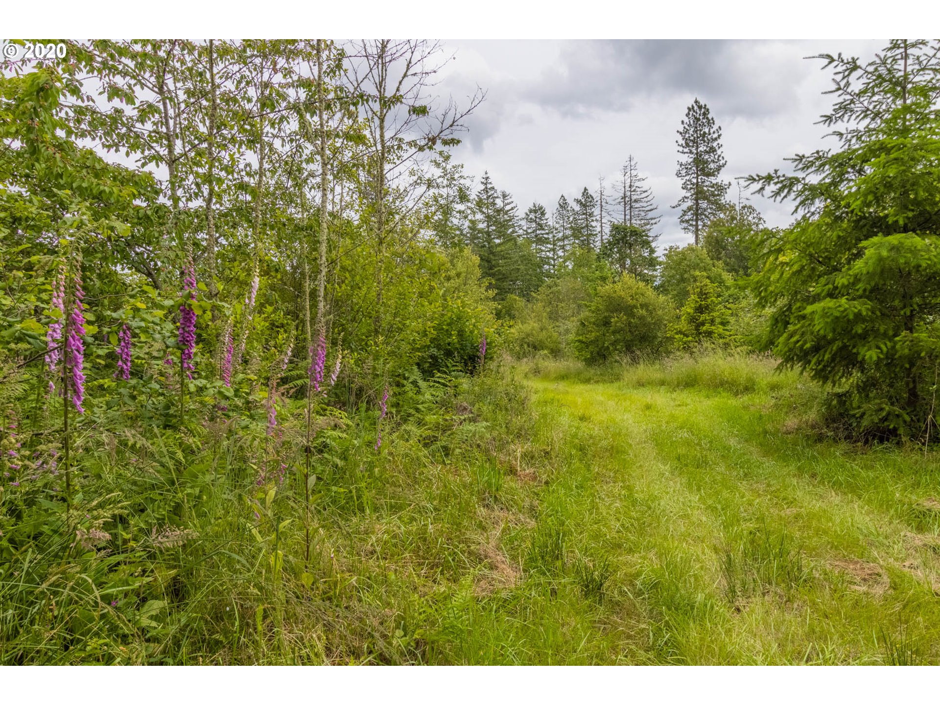 25172 Lamb Road Elmira, OR 97437 - Photo 24 of 32 Gallery Image 24
