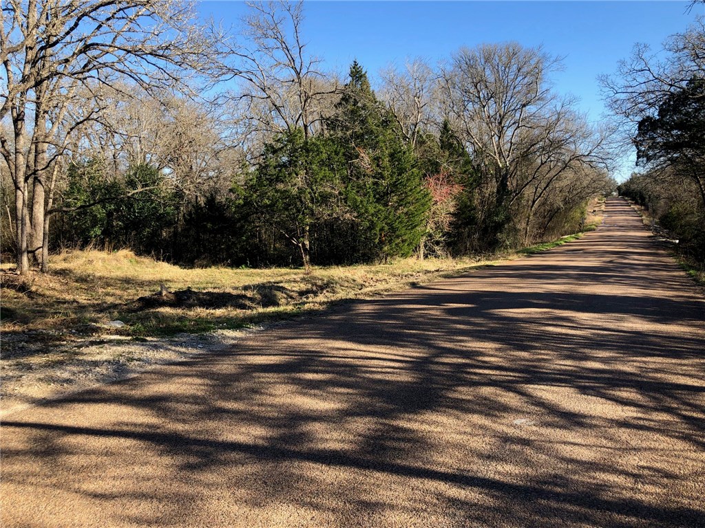 223 Sayers Road Bastrop, TX 78602 - Photo 1 of 1 Gallery Image 1