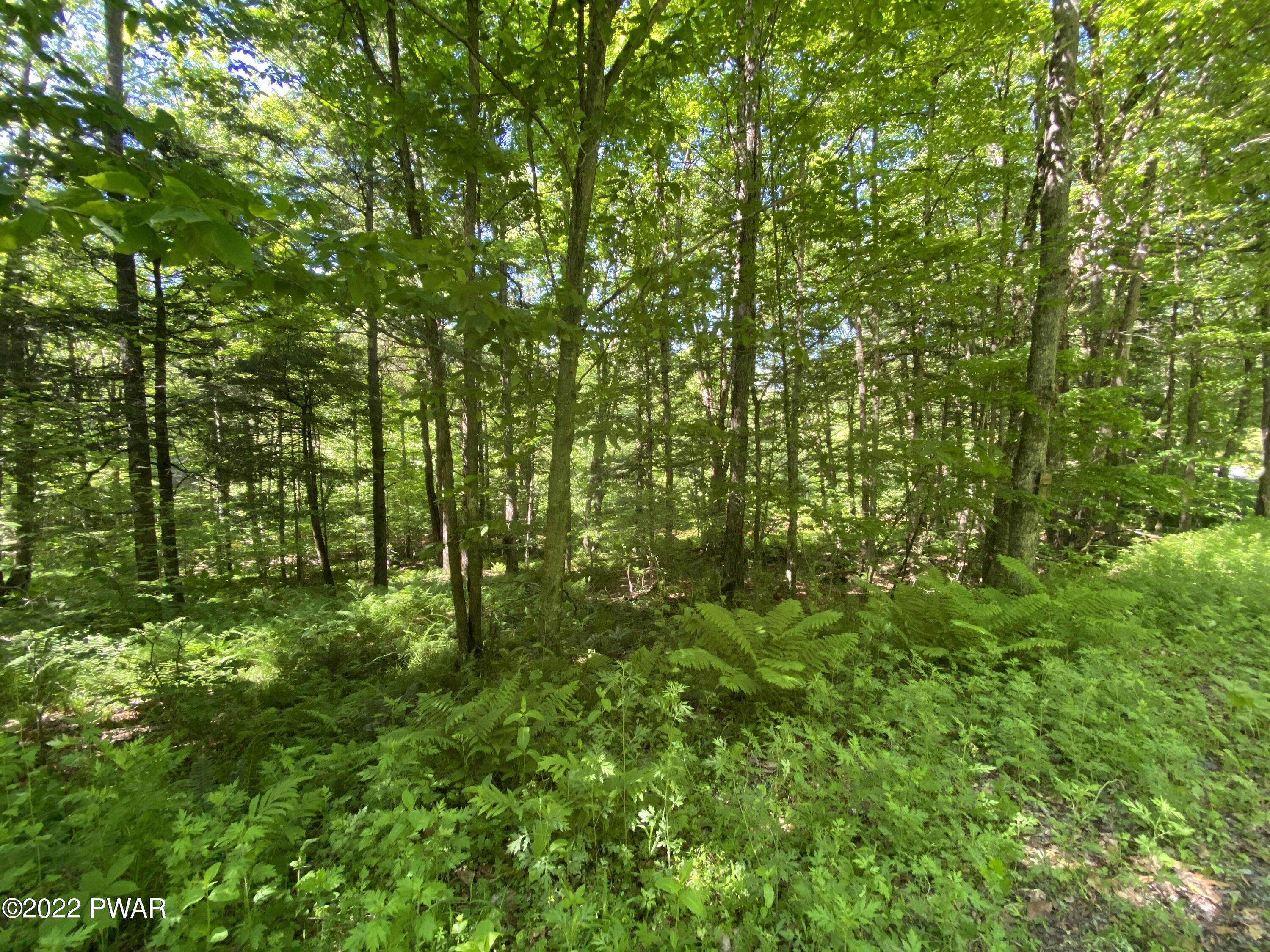 John David Road Beach Lake, PA 18405 - Photo 6 of 17