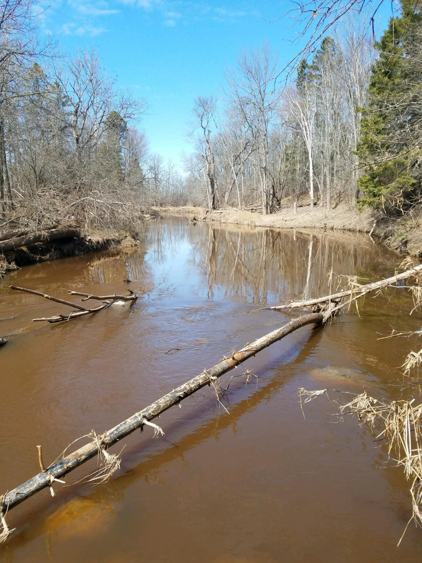 43-acres South Ridge Road Sault Ste. Marie, MI 49783 - Photo 5 of 24 Gallery Image 5