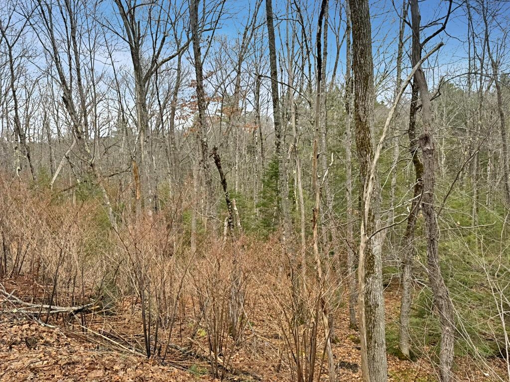 78 Hopper Road Milton, NH 03852 - Photo 4 of 9