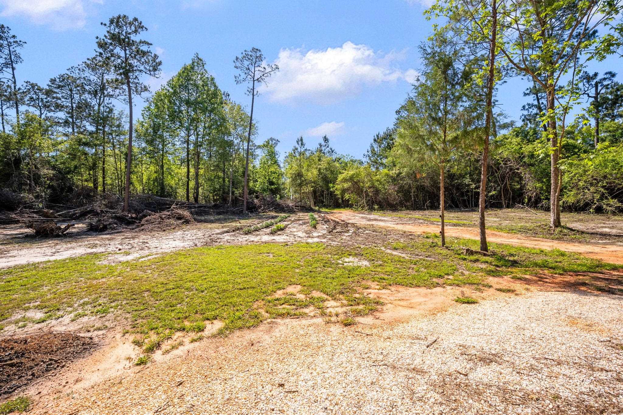 53582 Modelle Bryars Road Perdido, AL 36562 - Photo 17 of 30