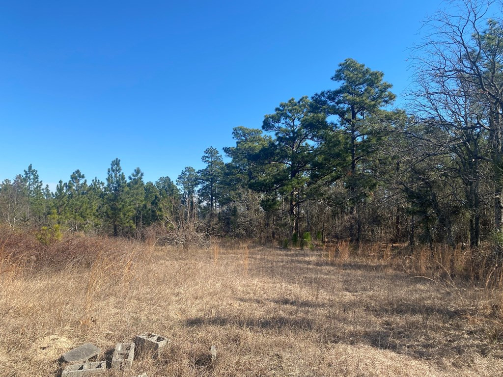 4366 Deans Bridge Road Blythe, GA 30805 - Photo 2 of 6