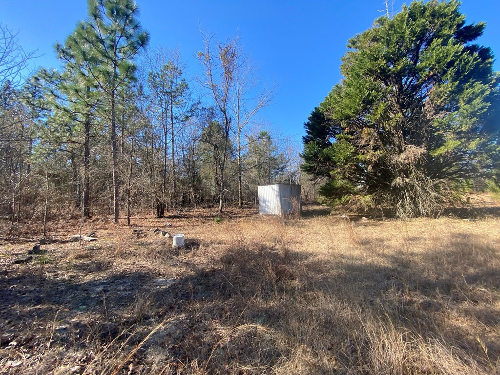 4366 Deans Bridge Road Blythe, GA 30805 - Photo 4 of 6