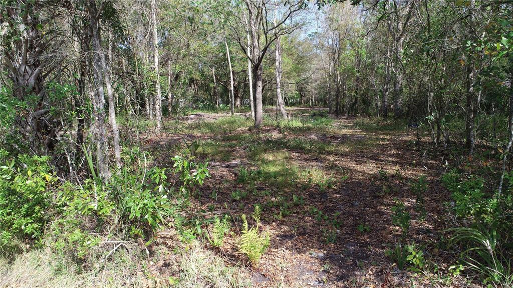 Cedarhurst Road Orlando, FL 32820 - Photo 2 of 5