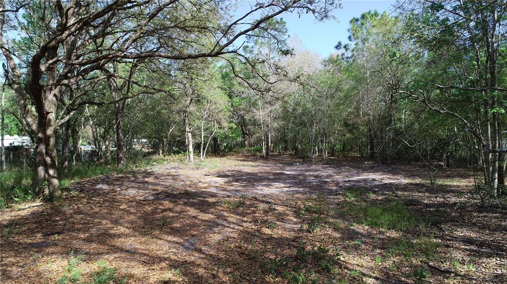 Cedarhurst Road Orlando, FL 32820 - Photo 3 of 5