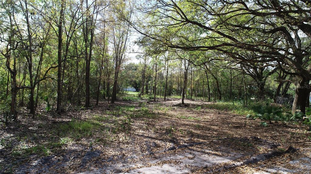 Cedarhurst Road Orlando, FL 32820 - Photo 4 of 5
