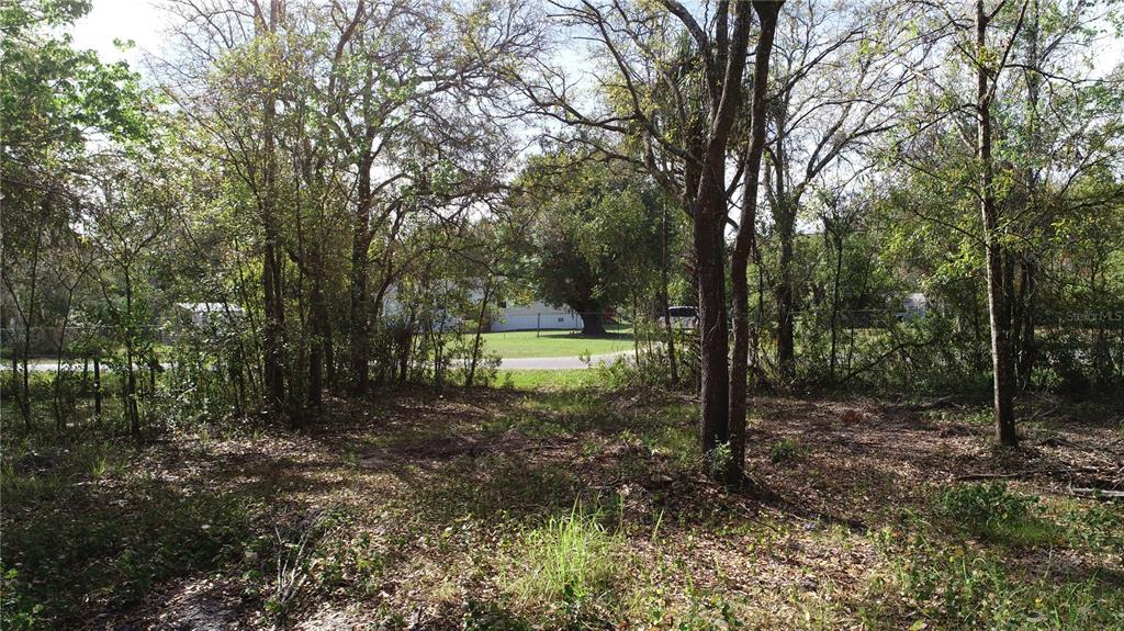 Cedarhurst Road Orlando, FL 32820 - Photo 5 of 5