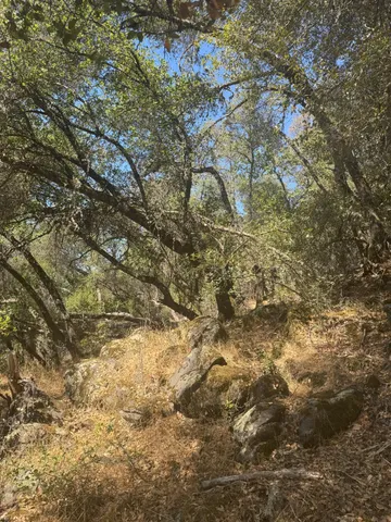 $100,000 | 22529 Dog Bar Road, Grass Valley, CA 95949