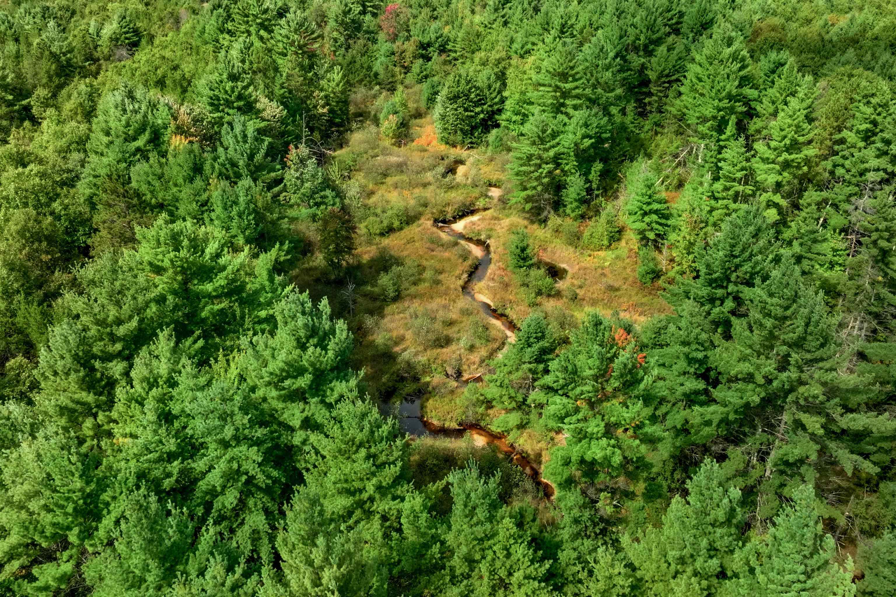 160-ac Goat Ranch Road Chippewa Falls, WI 54729 - Photo 1 of 31 Gallery Image 1