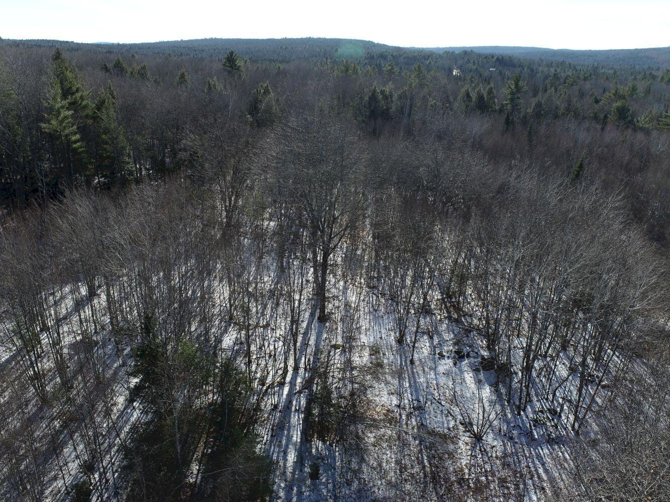 89 Town Farm Road Anson, ME 04958 - Photo 18 of 50 DJI_0008