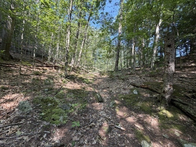 0 Zoar Road Rowe, MA 01367 - Photo 11 of 25 Gallery Image 11