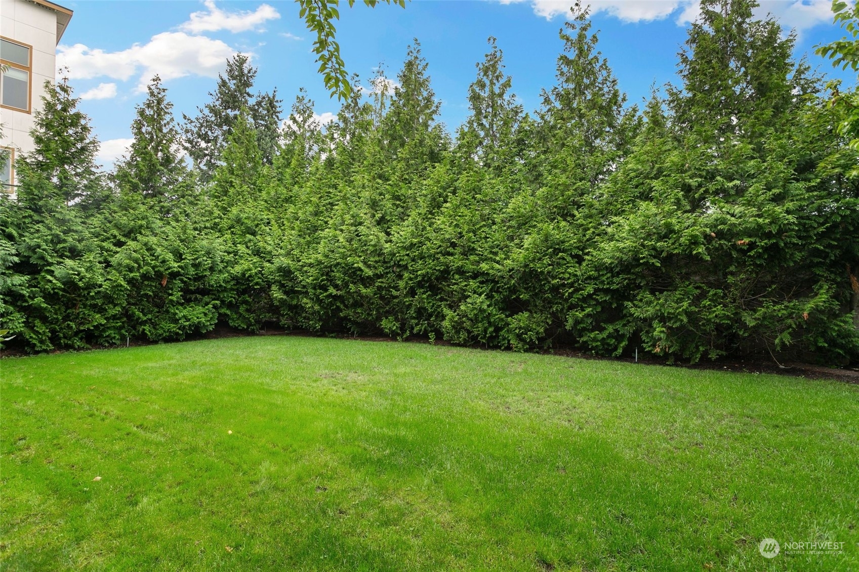 4600 Northeast 3rd Lane, Unit E1 Renton, WA 98059 - Photo 32 of 35 a view of a green field with trees in the background