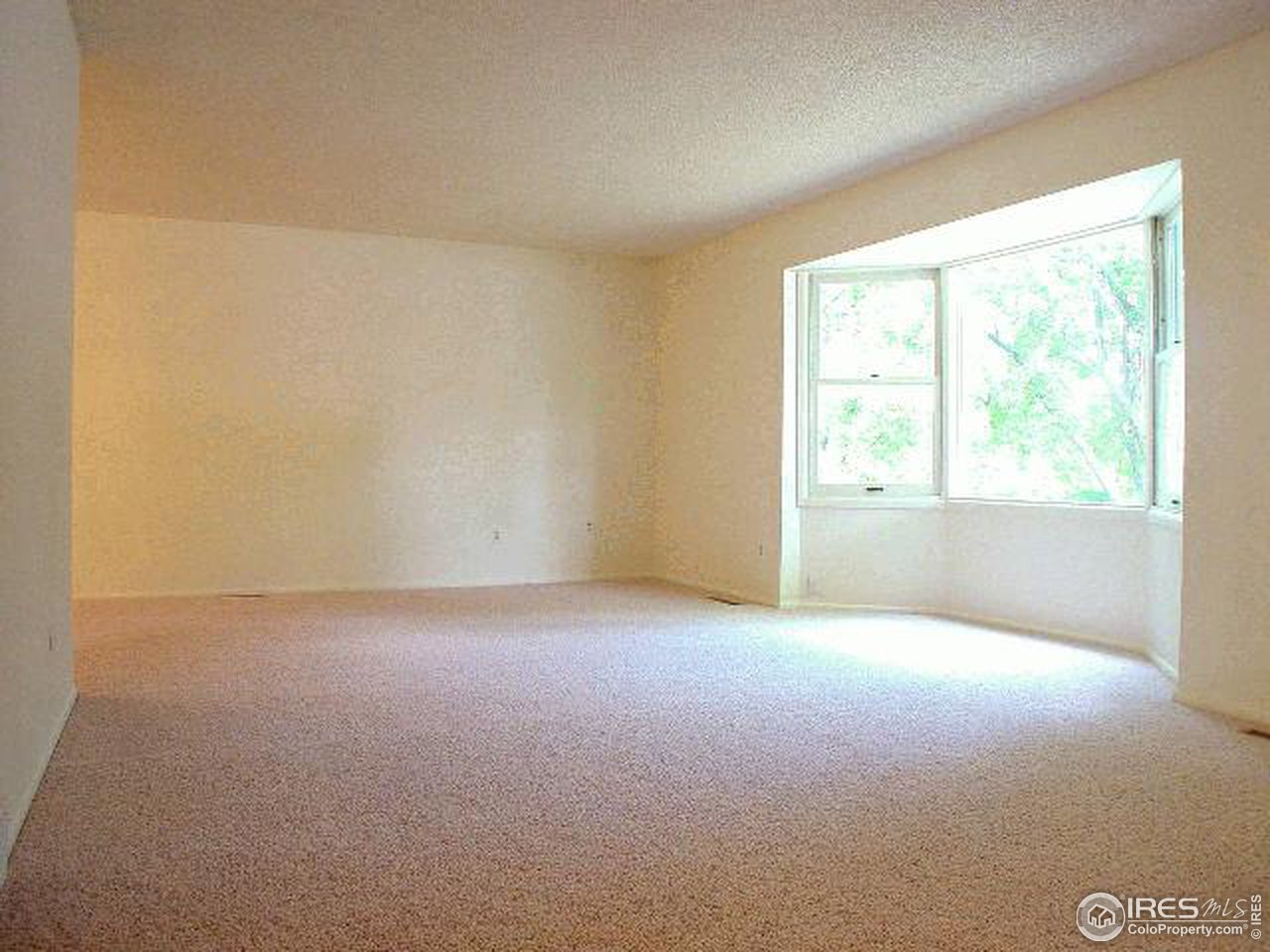 713 East Swallow Road Fort Collins, CO 80525 - Photo 9 of 10 Gallery Image 9