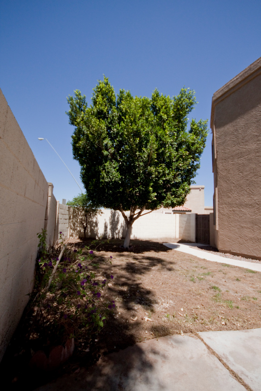 1229 North Alma School Road, Unit 1 Mesa, AZ 85201 - Photo 20 of 20 IMG_2765