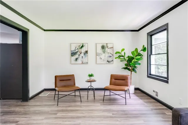 a living room with furniture and a potted plant
