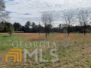 Lot 1 County Line Road Fayetteville, GA 30215 - Photo 1 of 1 Gallery Image 1