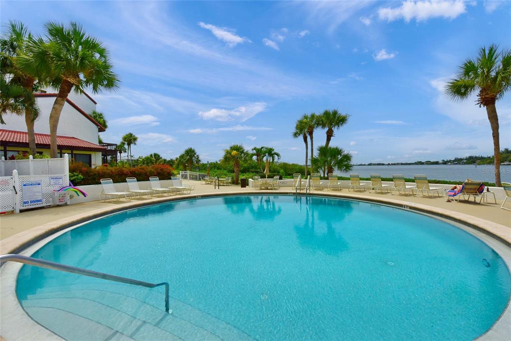 1630 Stickney Point Road, Unit 101 Sarasota, FL 34231 - Photo 3 of 40 a view of a swimming pool and a yard