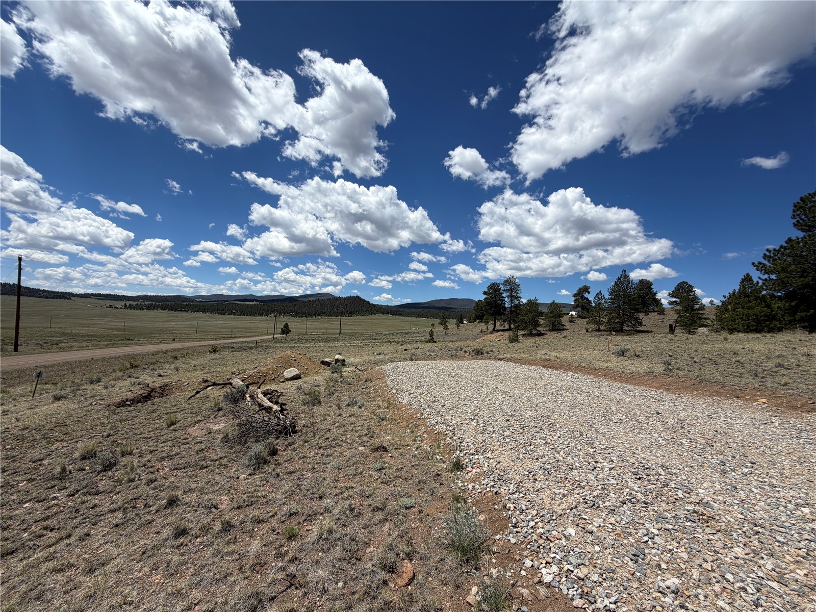 595 Bridle Path Hartsel, CO 80449 - Photo 5 of 23