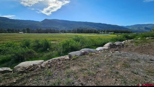 a view of a lush green hillside and a houses