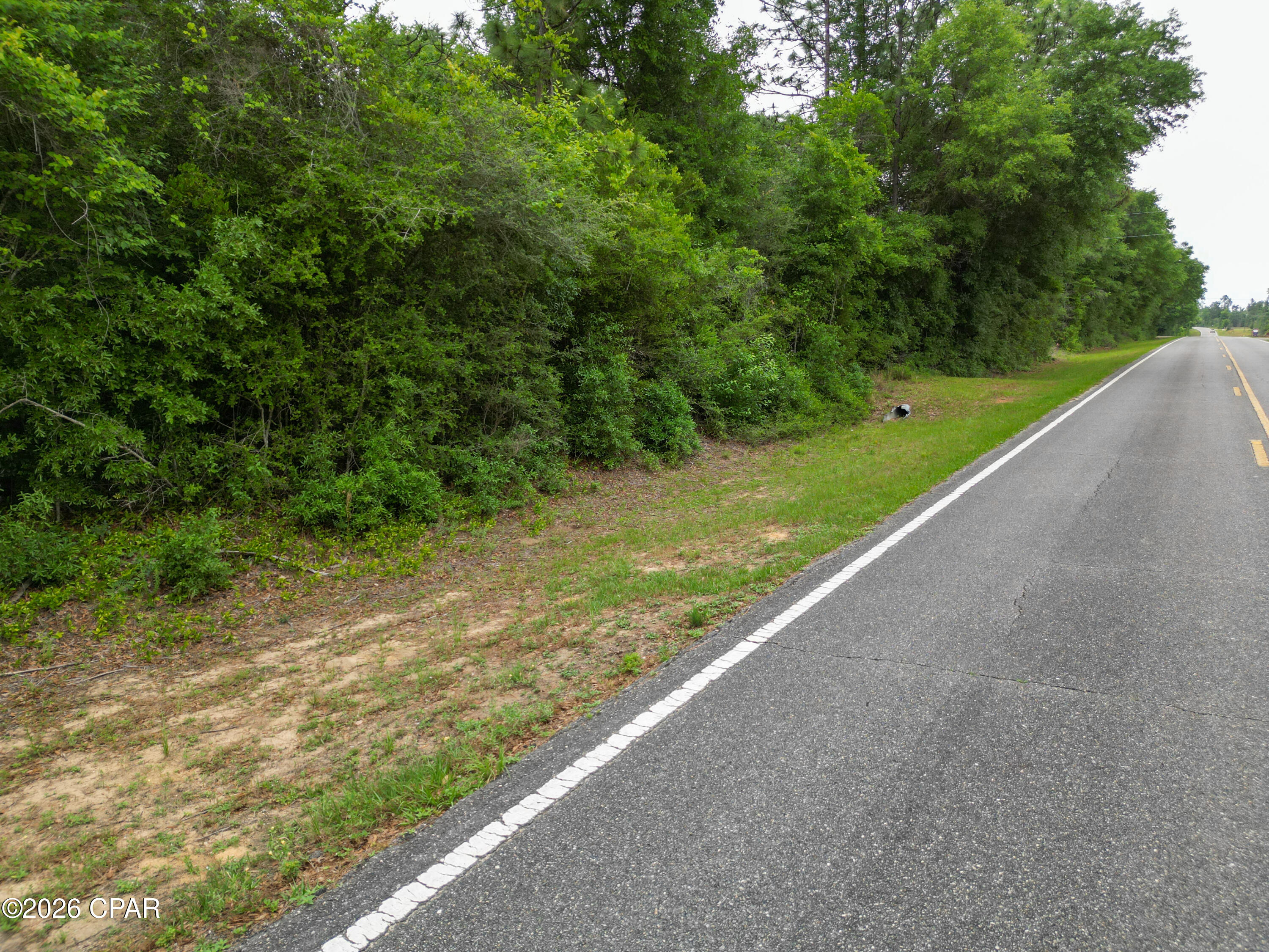 0 Lakepoint Road Alford, FL 32420 - Photo 12 of 14