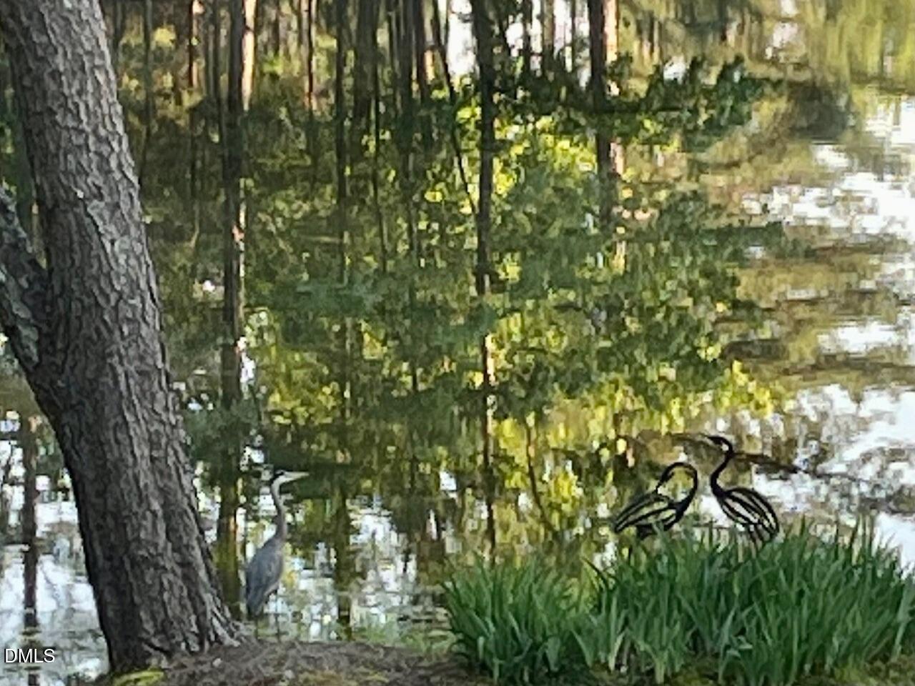 7516 Apex Barbecue Road Apex, NC 27502 - Photo 27 of 41 a view of a tree