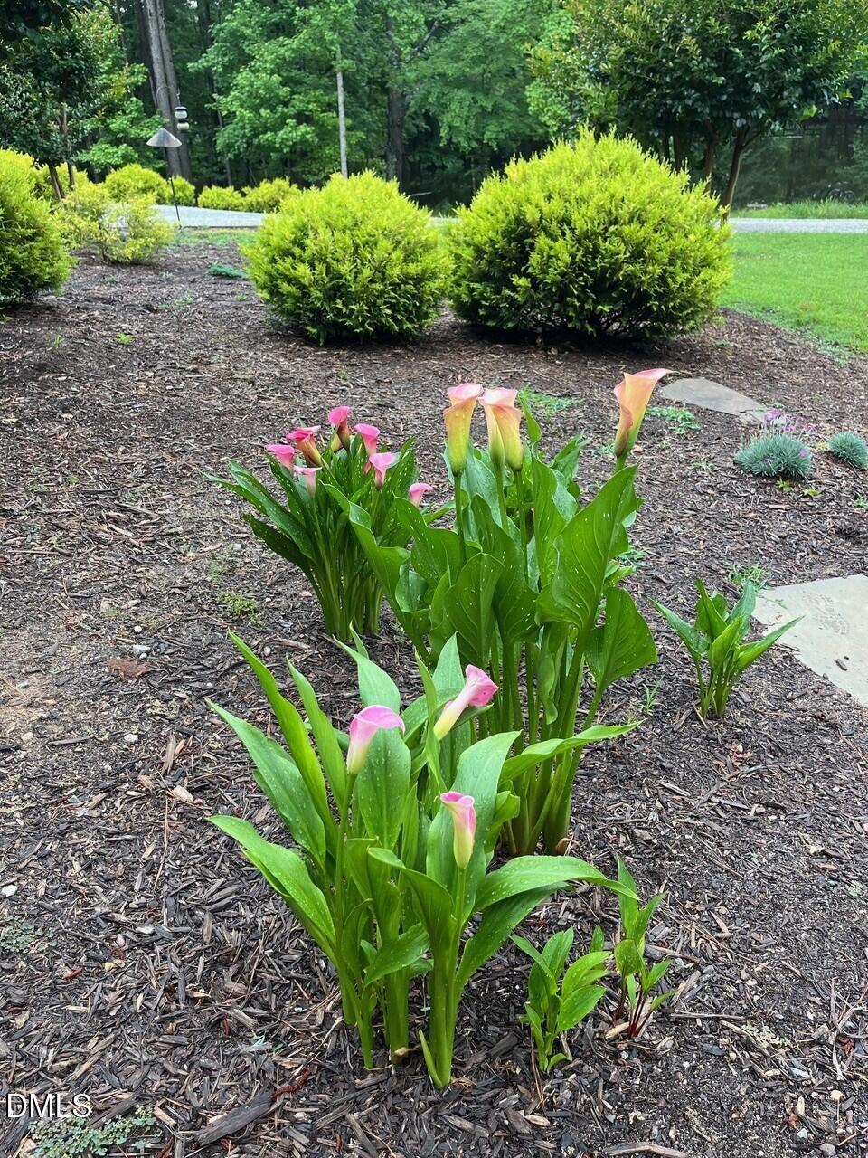 7516 Apex Barbecue Road Apex, NC 27502 - Photo 36 of 41 a green field with flowers in it