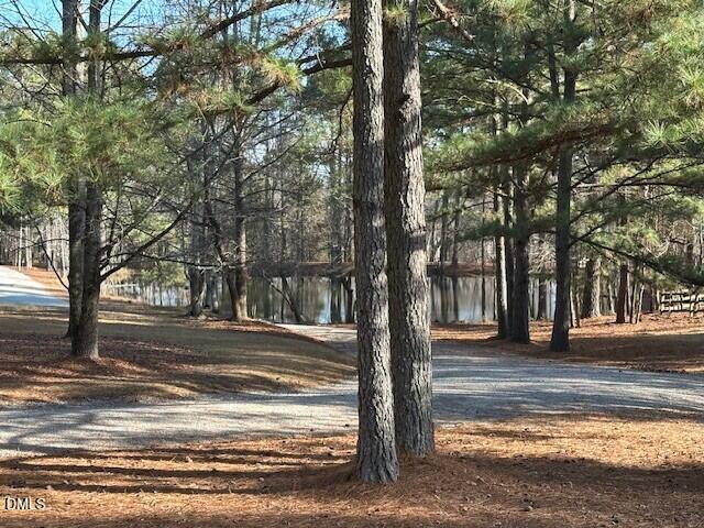 7516 Apex Barbecue Road Apex, NC 27502 - Photo 41 of 41 a view of road with trees