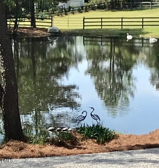 7516 Apex Barbecue Road Apex, NC 27502 - Photo 7 of 41 a view of lake