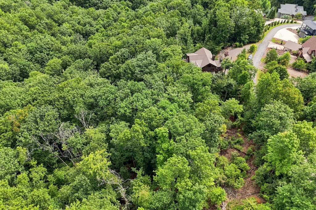 476 Deer Crest Road Blue Ridge, GA 30513 - Photo 55 of 65 Gallery Image 55