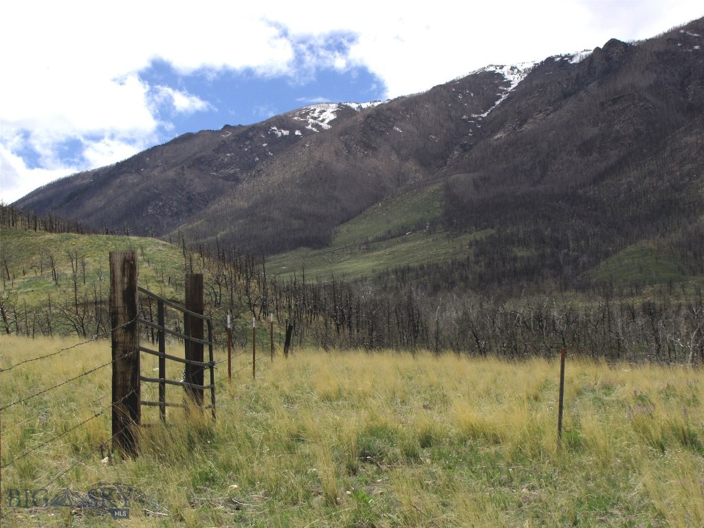 Nhn Gold Crk Road Red Lodge, MT 59068 - Photo 1 of 1 Gallery Image 1
