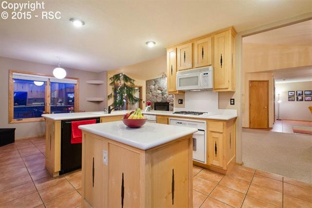 3105 Spaatz Road Monument, CO 80132 - Photo 5 of 18