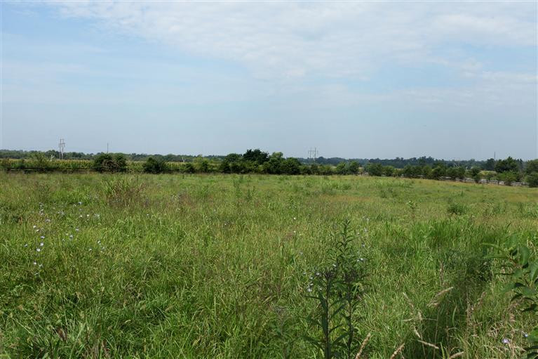 3850 Haley Road Lexington, KY 40516 - Photo 38 of 40 Photo 38
