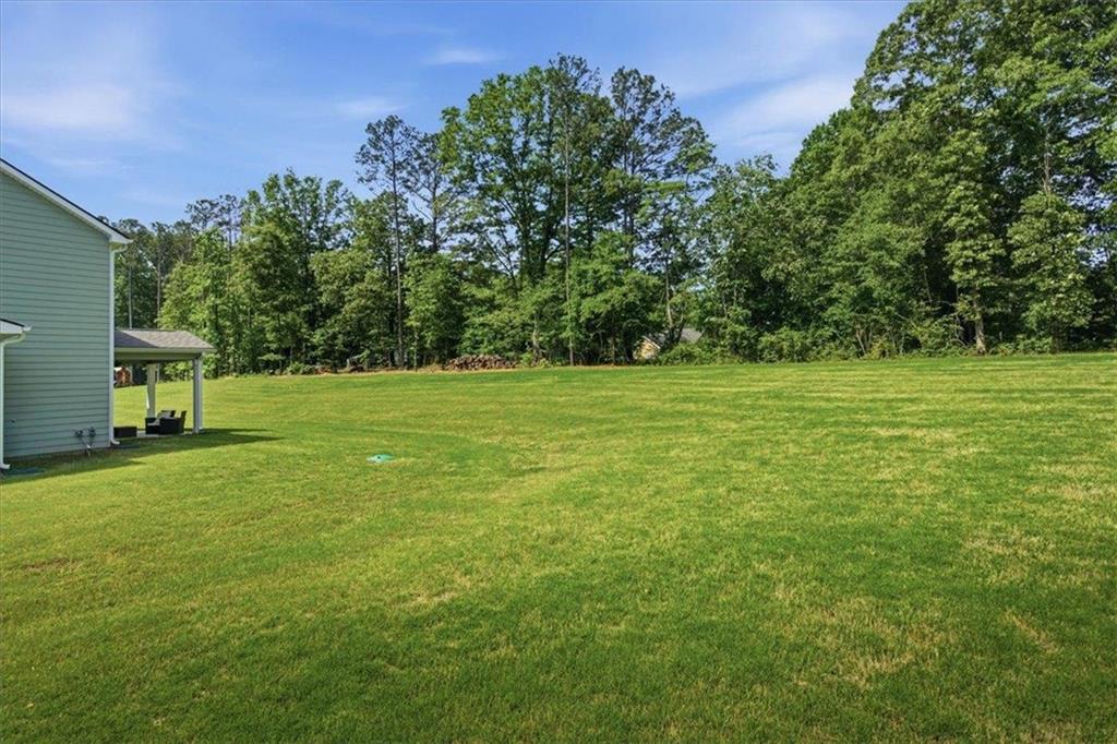 2 White Pond Road Moreland, GA 30259 - Photo 48 of 60