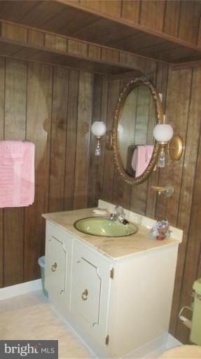17 Rene Carr Street Elkton, MD 21921 - Photo 19 of 26 Full Bathroom lower level - vanity
