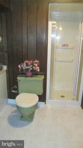 17 Rene Carr Street Elkton, MD 21921 - Photo 4 of 26 Basement- full bathroom lower level