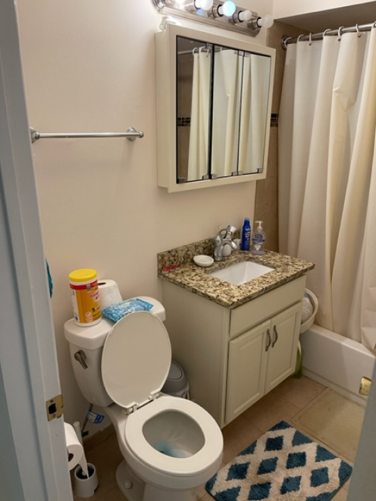 2226 South Goebbert Road, Unit 270 Arlington Heights, IL 60005 - Photo 11 of 19 a bathroom with a granite countertop toilet sink and mirror