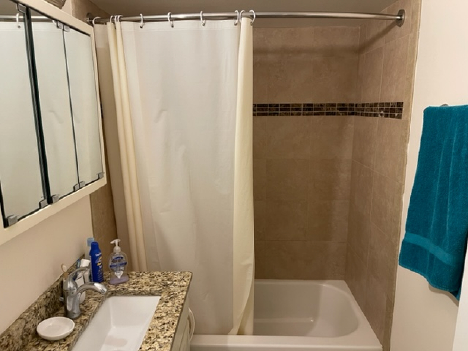 2226 South Goebbert Road, Unit 270 Arlington Heights, IL 60005 - Photo 13 of 19 a bathroom with a shower curtain and a sink